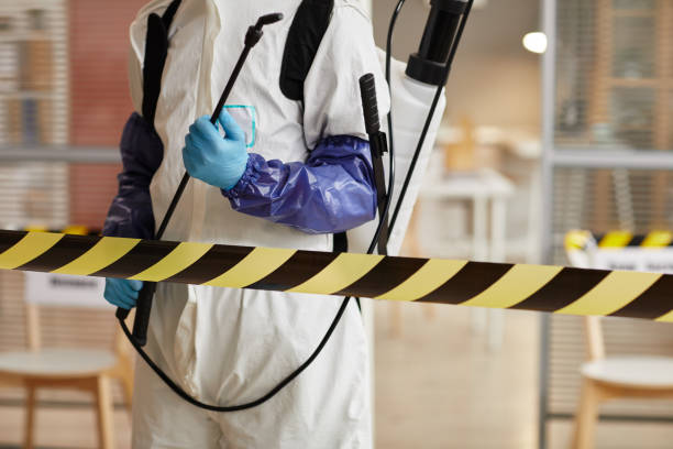 Professional Sewage Cleanup technician working in Sun City, AZ